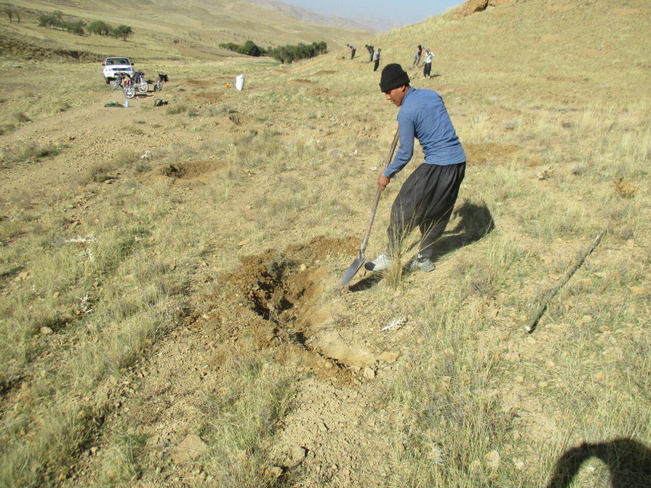 اجرای طرح&zwnj;های   منابع طبیعی شهرستان فراهان