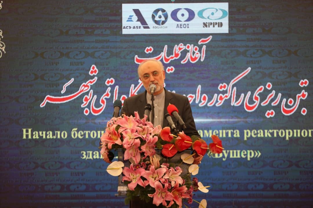 آماده انتقال تجربیات هسته&zwnj;ای به کشورهای حوزه خلیج فارس هستیم/ تا سال ۱۴۰۶ دارای سه هزار مگاوات برق هسته&zwnj;ای خواهیم بود