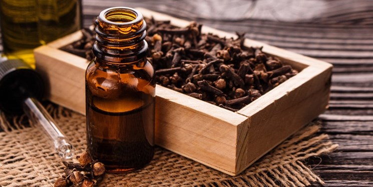 میخک گیاهی مسکن و آرامبخش