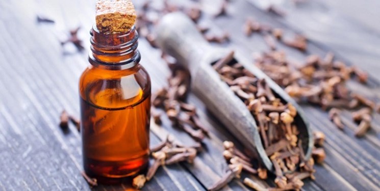 میخک گیاهی مسکن و آرامبخش