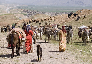ورود عشایر به مراتع قشلاقی فارس از ۱۵ آبان تعیین شده است