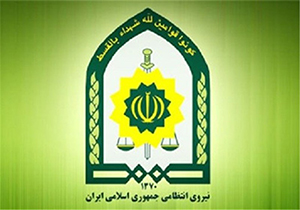کامیون حامل ۱۰ تن خوراک دام قاچاق در الیگودرز توقیف شد