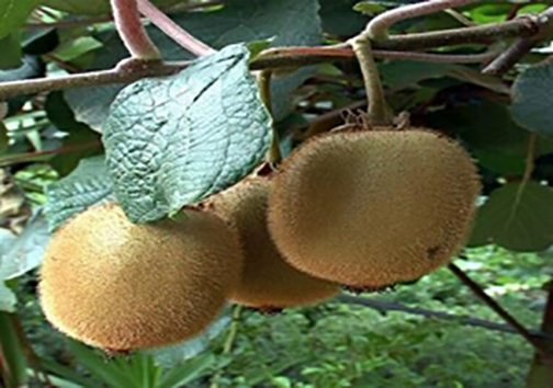نگاهی گذرا به مهمترین رویداد&zwnj;های یکشنبه ۱۹ آبان ماه در مازندران