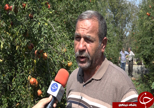 پاییز به رنگ سرخ درآمد