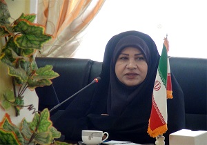 طرح ملی توسعه مشاغل خانگی در شهرستان طبس