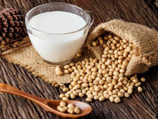 آیا مصرف سویا باعث ناباروری مردان می&zwnj;شود؟/صادقی