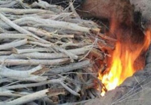 تخریب کوره‌های غیرمجاز زغال در لردگان و خانمیرزا