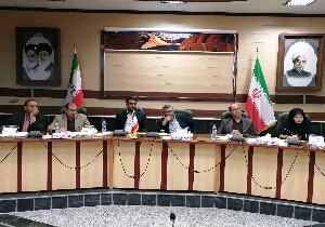 اتمام گاز رسانی به تمام روستاها تا پایان سال آینده
