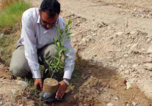 طرح نهضت سبز در چهارمحال و بختیاری اجرا می‌شود