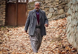 سلبریتی‌ها از کجا به وجود آمدند؟ + فیلم