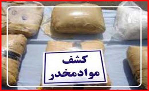 جولان سگ&zwnj;های ولگرد در بی خبری متولیان کم کار/ حذف لفظ شهید این بار از تابلوهای معابر شهر خرمشهر/ در ارتباط با روح&zwnj; الله زم کسی در مشهد دستگیر نشده است