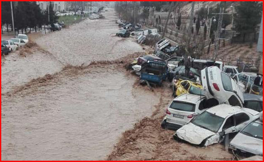 جولان سگ&zwnj;های ولگرد در بی خبری متولیان کم کار/ حذف لفظ شهید این بار از تابلوهای معابر شهر خرمشهر/ در ارتباط با روح&zwnj; الله زم کسی در مشهد دستگیر نشده است