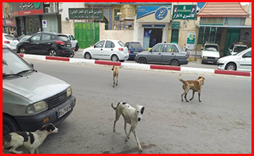 جذاب