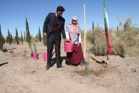 اقدام جالب زوج جوان برای کمک به طبیعت