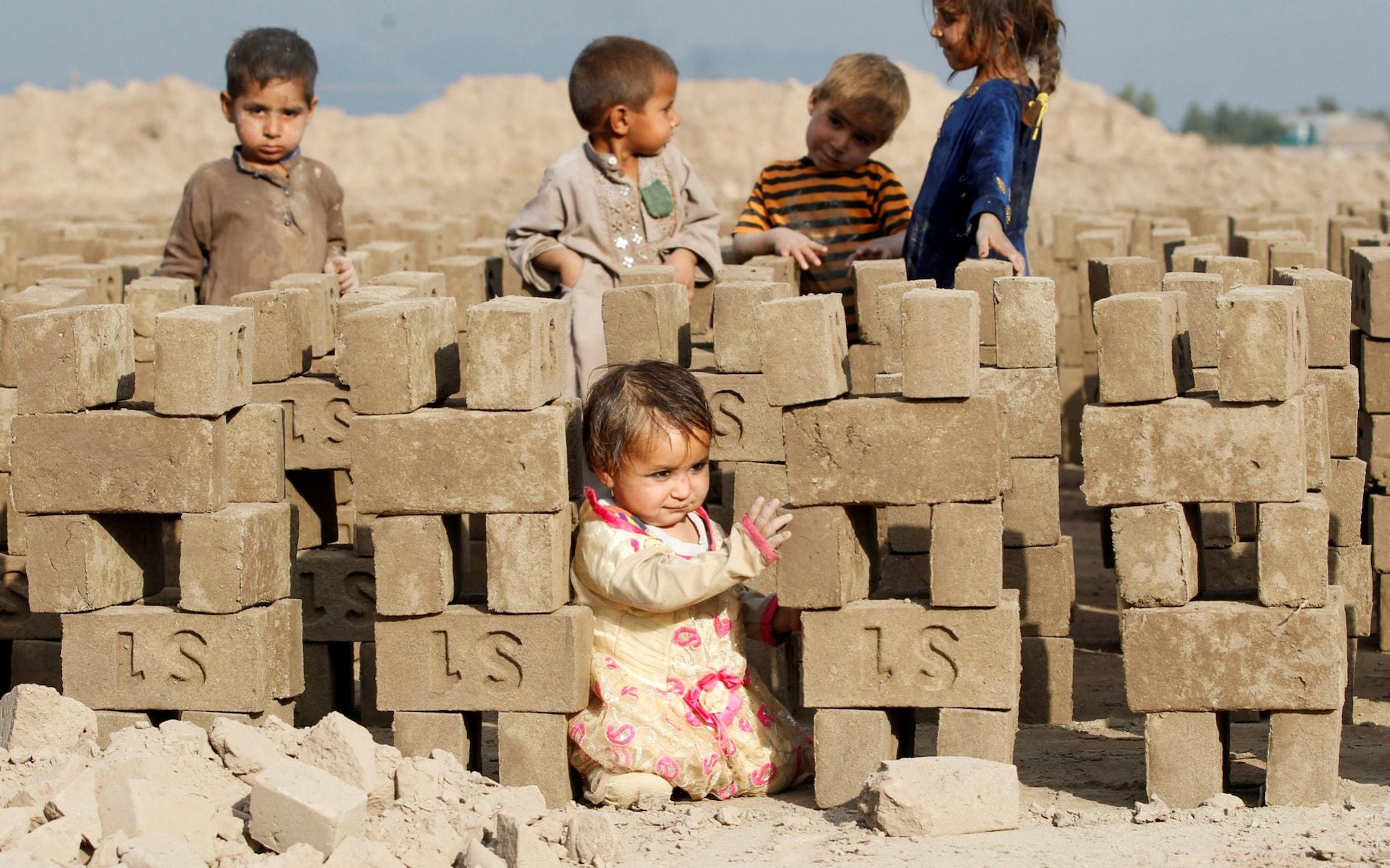 تصاویر روز: از تصاویر روز: از