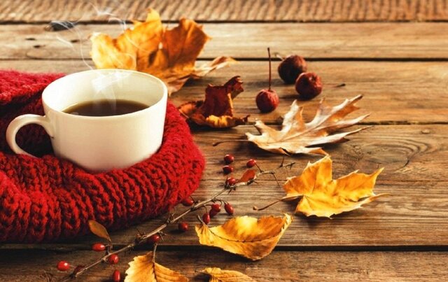 با این دمنوش پاییزی از درد&zwnj;های سیاتیک در امان باشید