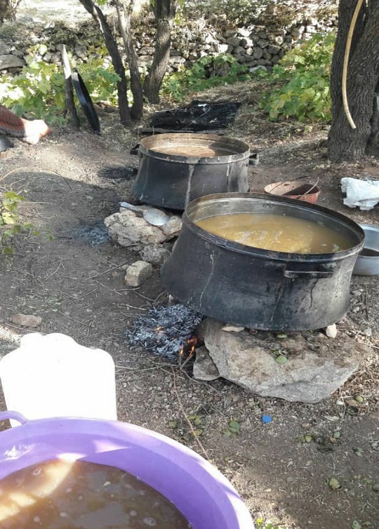 تهیه شیره انگور به روش سنتی در روستای ده چشمه تهیه شیره انگور به روش سنتی در روستای ده چشمه