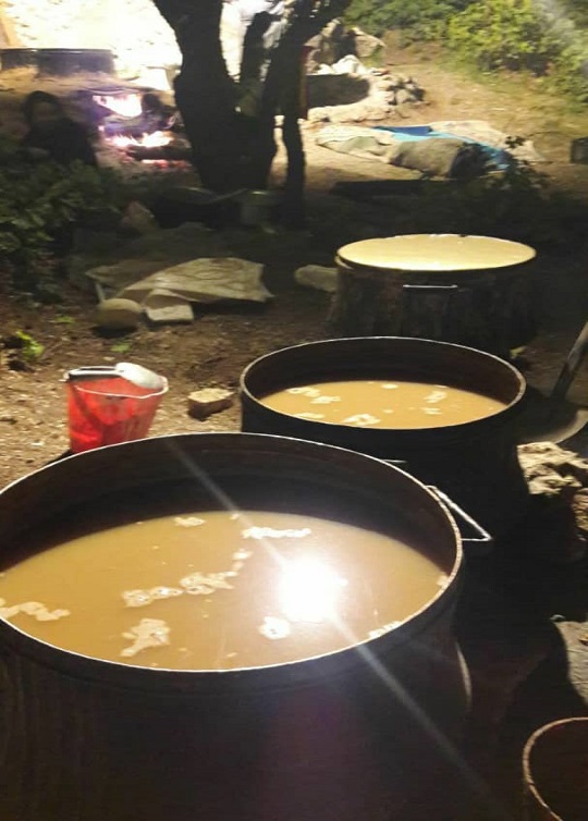 تهیه شیره انگور به روش سنتی در روستای ده چشمه تهیه شیره انگور به روش سنتی در روستای ده چشمه