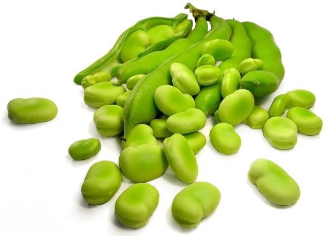 خواص ناشناخته گیاهی که سرشار از املاح معدنی است