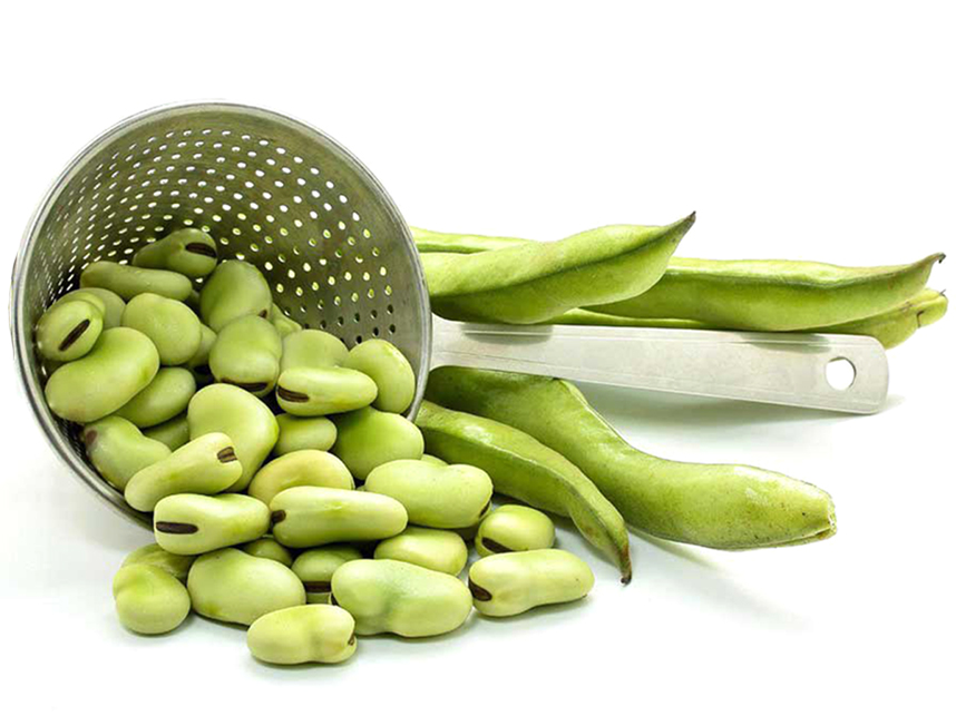 خواص ناشناخته گیاهی که سرشار از املاح معدنی است
