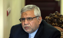 مسئله فلسطین مهمترین گفتمان/باید برای مذاکره با علمای جهان، گفتمان سازی کنیم/ اتفاق نظر شیعه و سنی بر سر مقابله با تکفیری&zwnj;ها