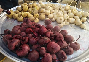 ابرکوهی‌ها به استقبال سرما رفتند