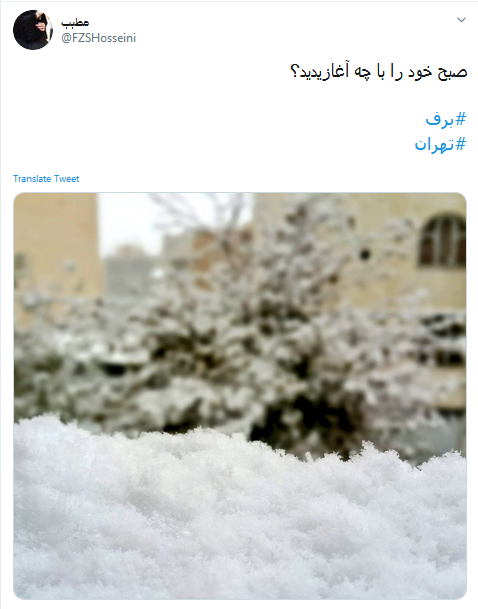ذوقزدگی کاربران از اولین برف پاییزی + تصاویر ذوقزدگی کاربران از اولین برف پاییزی + تصاویر