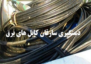 سارقان ۲۳۲ فقره سرقت در استان‌ سمنان دستگیر شدند