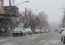 لذت بردن از هوایی بی نظیر در میانه پاییز + فیلم