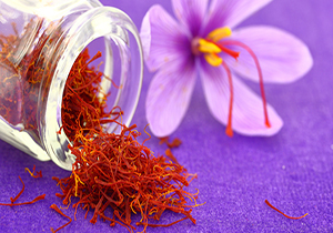 شمیم عطر طلای سرخ در شمال خوزستان + فیلم