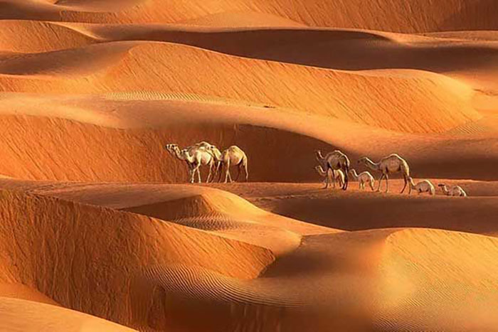 کویر&zwnj;های دیدنی اطراف تهران؛ تجربه&zwnj;ای از آرامش و سکوت