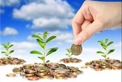 آغاز طرح تجمیع ۲۲ صندوق اعتباری خرد زنان