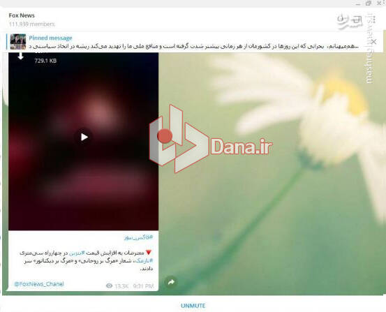 دم خروس کانال&zwnj;های ضدانقلاب با قطعی اینترنت بیرون زد + عکس