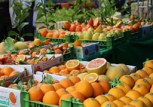 ذخیره ۱۲۵ هزار تن محصولات کشاورزی در سردخانه‌های مهاباد