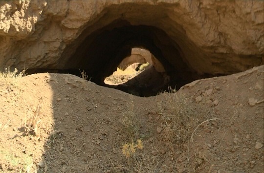 زمین گیری زمین