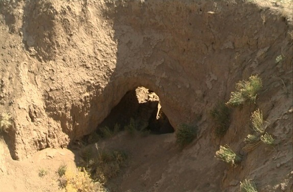 زمین گیری زمین