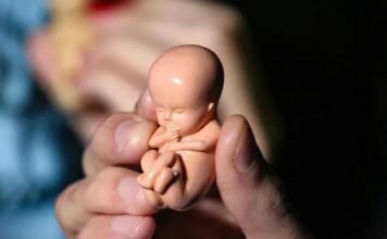 ۱۲ درصد نوزادان ایرانی نارس متولد می&zwnj;شوند//ثباتی