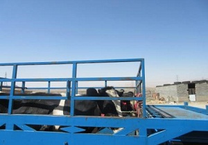 توقیف خودرو حمل فاقد گواهی حمل بهداشتی قرنطینه&zwnj;ای