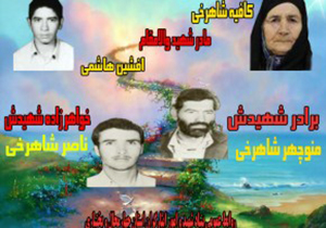 مادر شهید افشین هاشمی به دیدار فرزندش شتافت