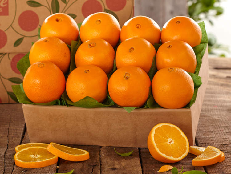 خواص پرتقال برای سلامت بدن///گلی