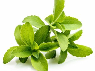 استویا خوب یا بــد؟//گلی