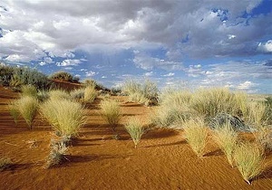 اختصاص بیش از ۷۸۰ میلیارد ریال اعتبار برای مقابله با بیابان زدایی در خراسان جنوبی