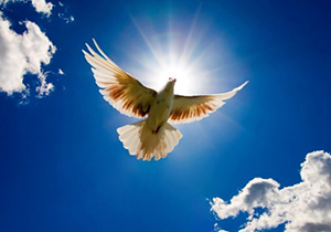 آزادی مجرمان غیرعمد در سایه بخشندگی خیرین البرزی