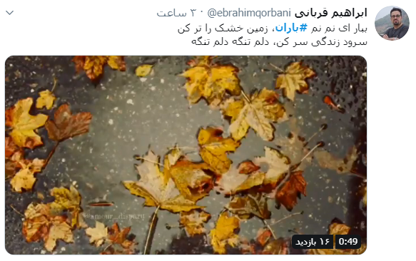 #باران / حوالی تو دلتنگی چگونه است؟ اینجا که باران می&zwnj;زند + پست&zwnj;های کاربران