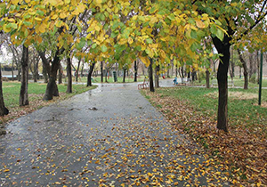 پیش بینی افزایش ابر و بارش پراکنده باران