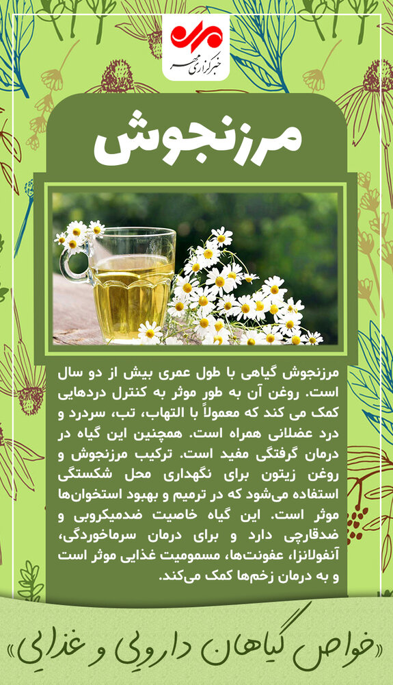 با مرزنجوش درد را کنترل کنید با مرزنجوش درد را کنترل کنید