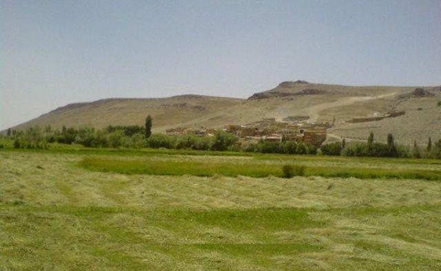 روستایی که با وجود یک نوع سوسمار به شهرت رسید + تصاویر روستایی که با وجود یک نوع سوسمار به شهرت رسید + تصاویر