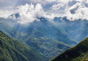 گردشگران گمشده در جنگل ابر نجات یافتند