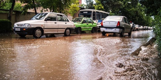 گزارش سه مورد آبگرفتگی در فردیس