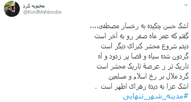 یا بن الزهرا هزار کتاب برای شرح تنهایی&zwnj;ات کافی نیست + تصاویر